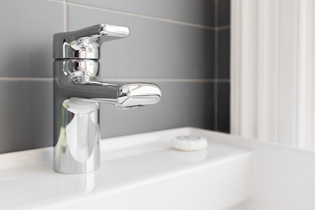 bathroom-8688132_640