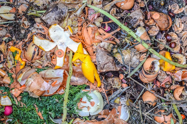 compost-4591094_640